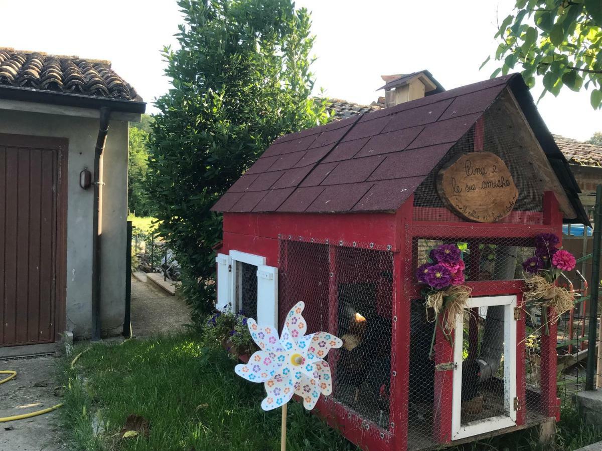 Tra I Campi Di Papaveri Medesano Zewnętrze zdjęcie