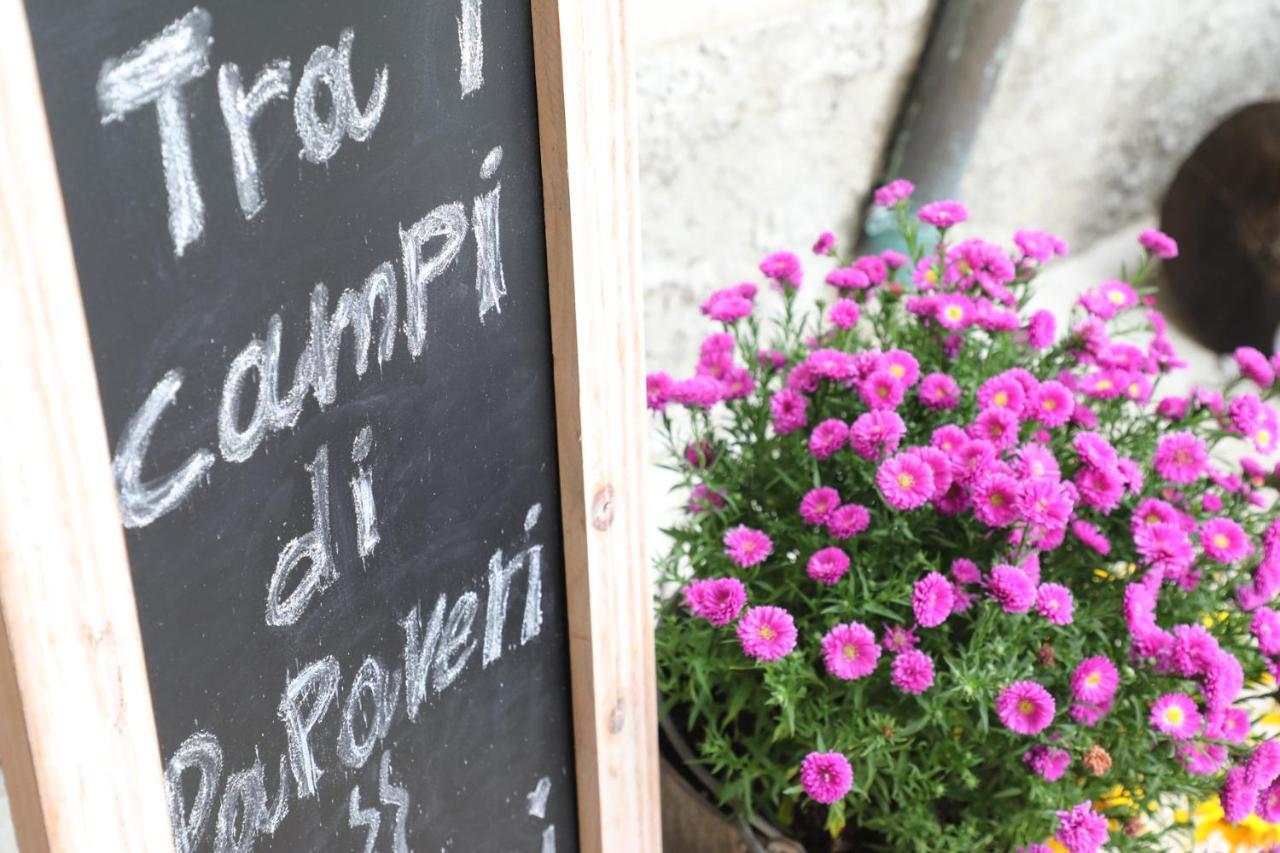 Tra I Campi Di Papaveri Medesano Zewnętrze zdjęcie